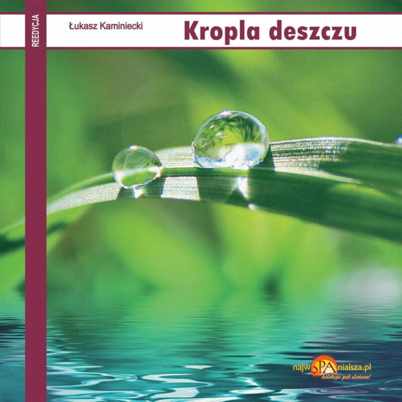 Kropla deszczu