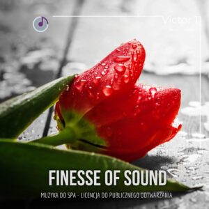 Finesse of Sound 1