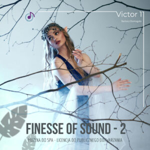 Finesse of Sound 2