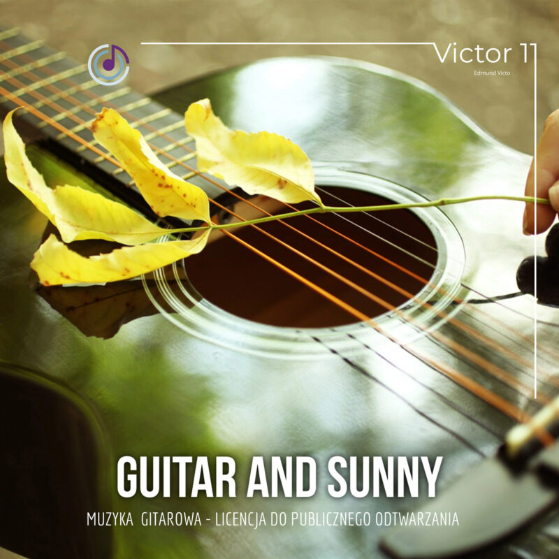 Guitar and Sunny